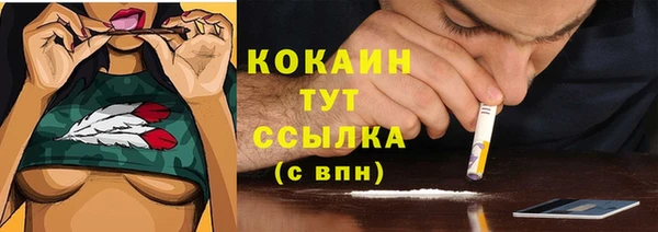 прущий лед Аркадак