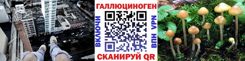 как найти закладки  Менделеевск  мега зеркало  Псилоцибиновые грибы GOLDEN TEACHER 